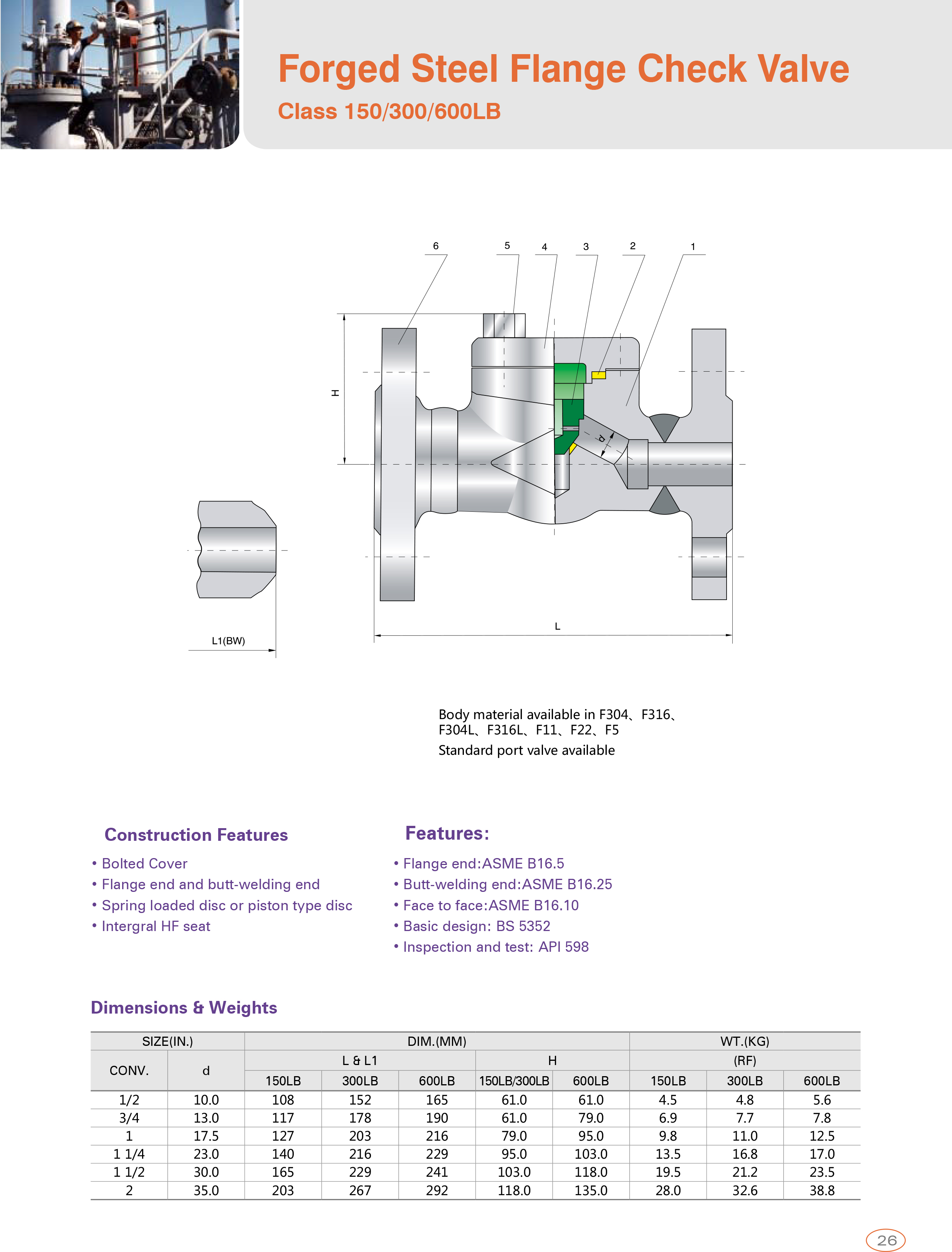 Forged Steel Flange Check Valve
