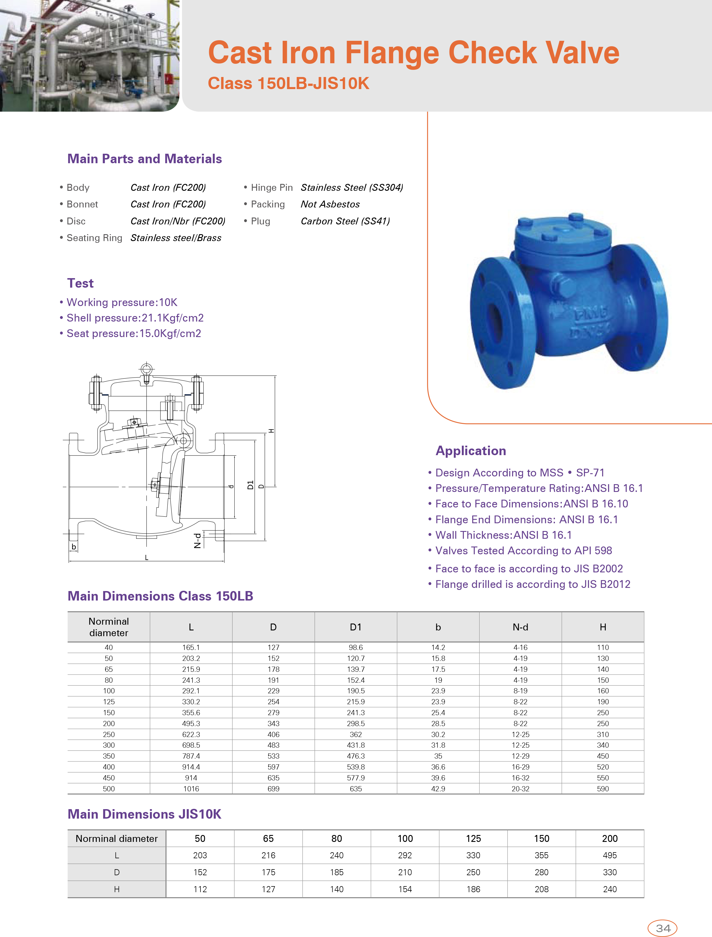 Cast Iron Flange Check Valve