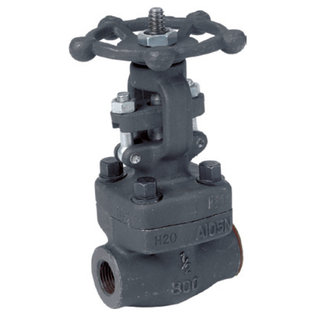 Van cổng A105 Flange RF Class300