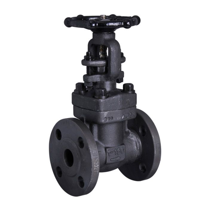 Van cổng A105 Flange RF Class300