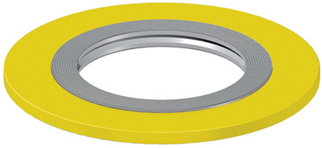 Spiral wound gasket